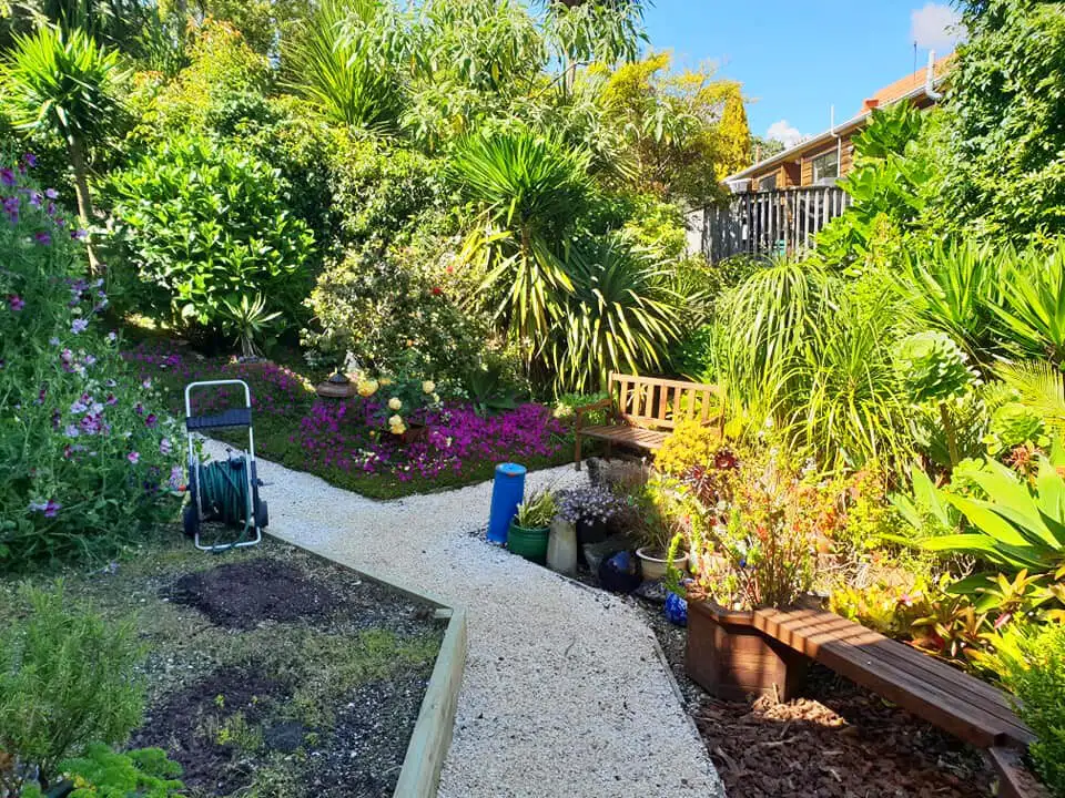 Rod working on a garden transformation in Auckland
