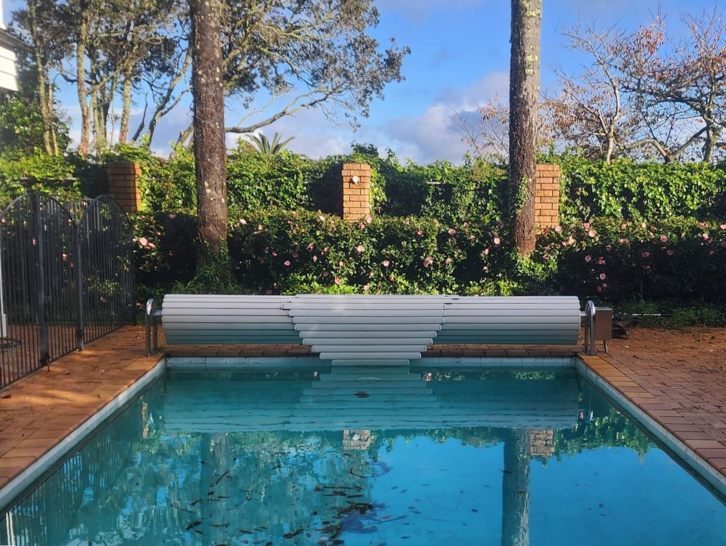 Garden with pool area